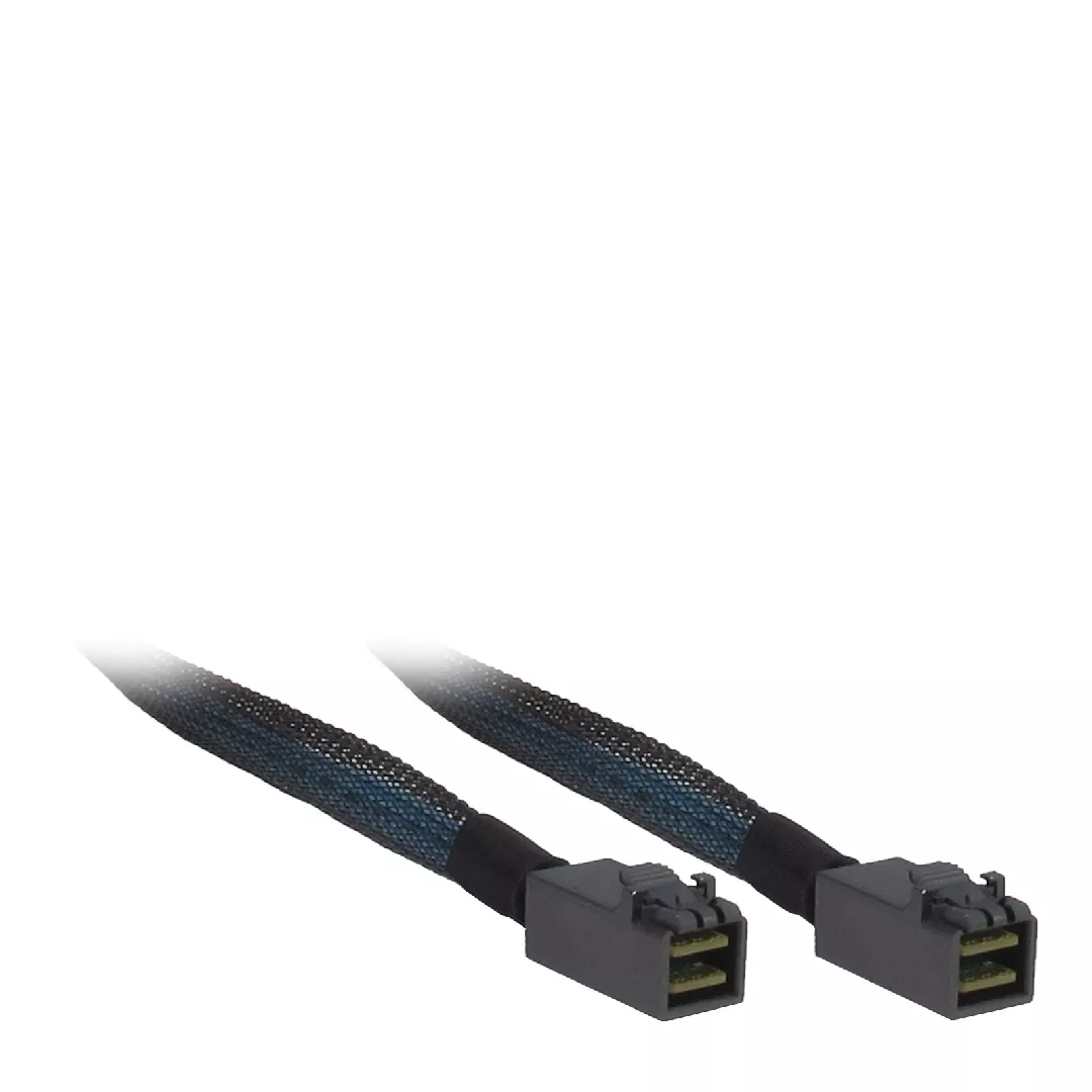 Inter-Tech 1m 2xSFF 8643 Black  Blue