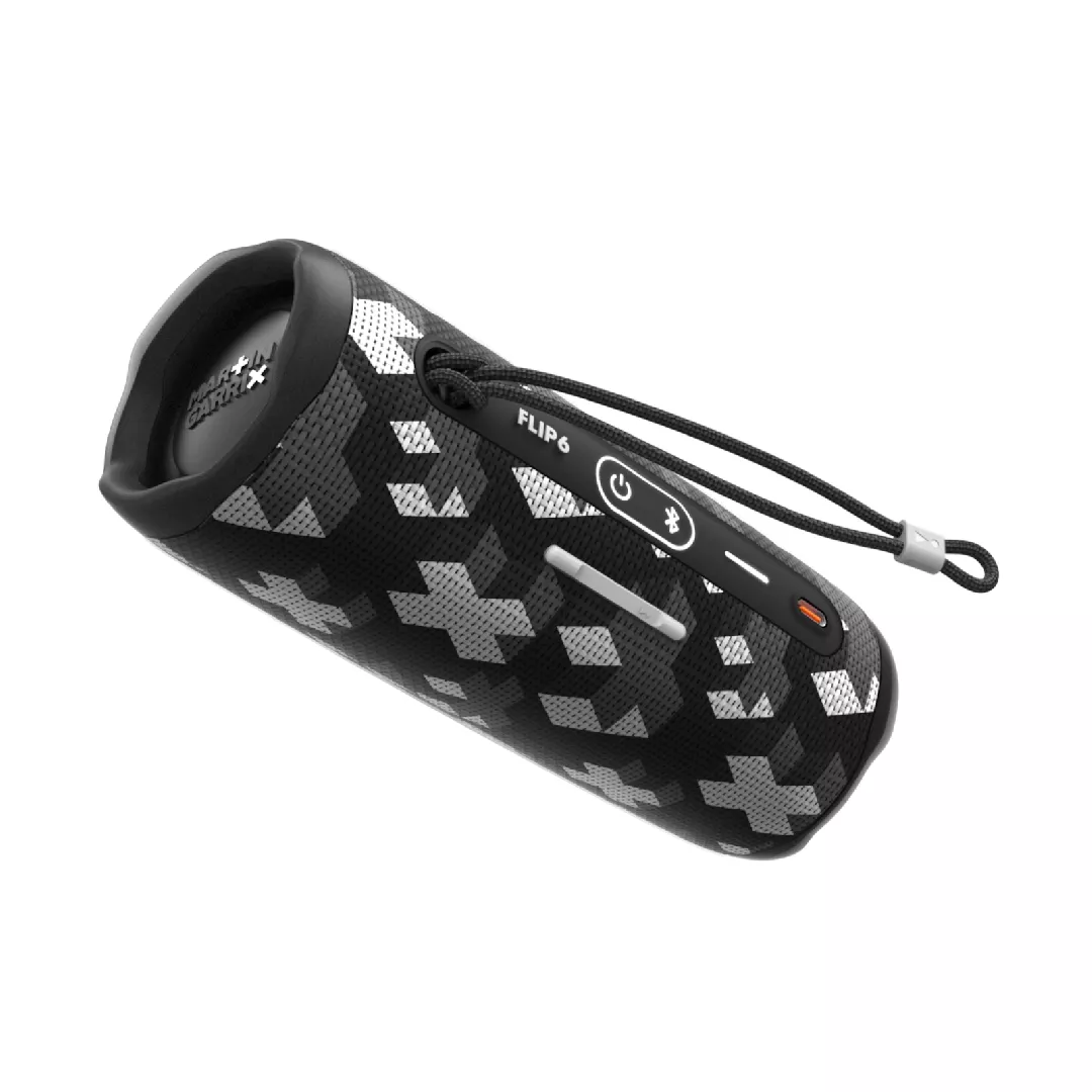 JBL Flip 6 Martin Garrix Grey