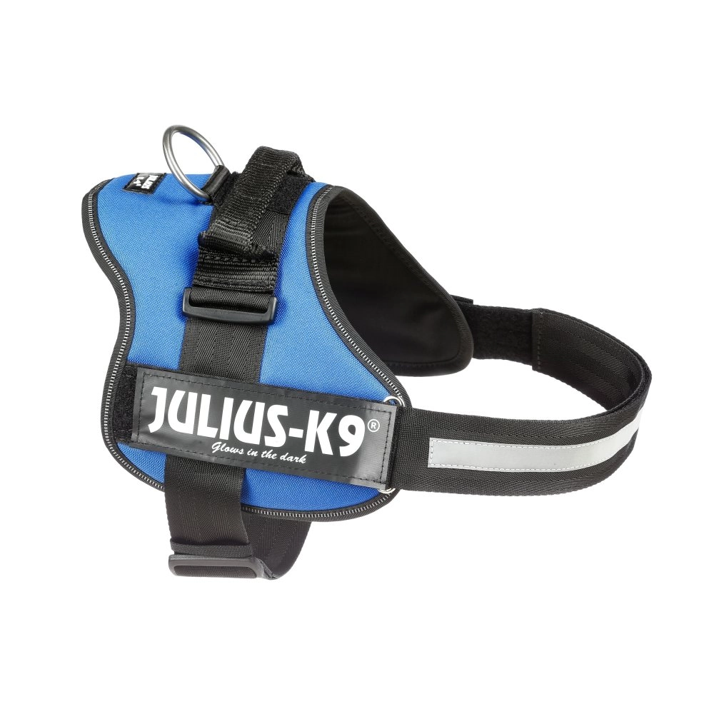 Julius-K9 Powerharness XL Blue Polyester Dog