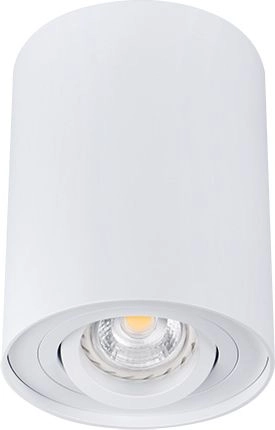 CEILING LIGHT POINT FITTING BORD DLP-50W
