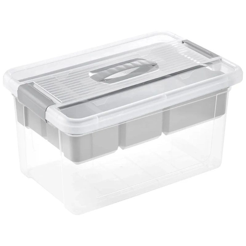 Box with lid and organizer organizer