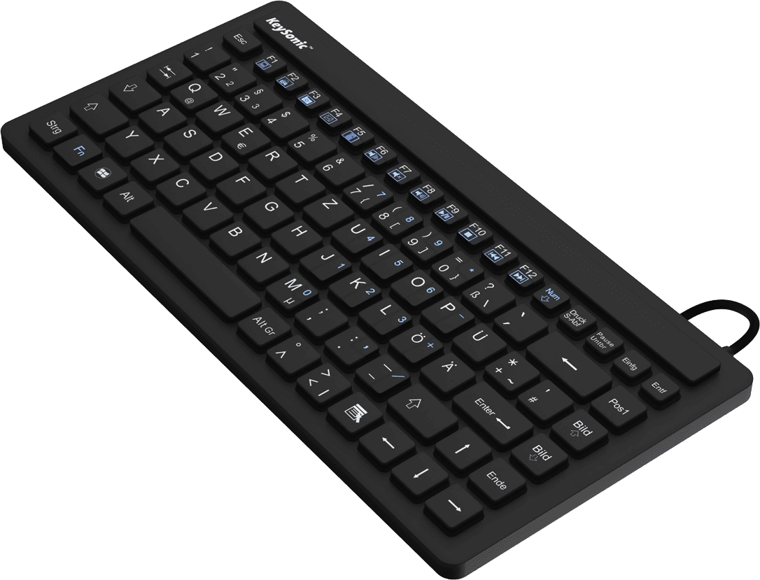 KeySonic KSK-3230 IN (US) tastatūra Rūpniecisks USB QWERTY Amerikāņu angļu valoda Melns