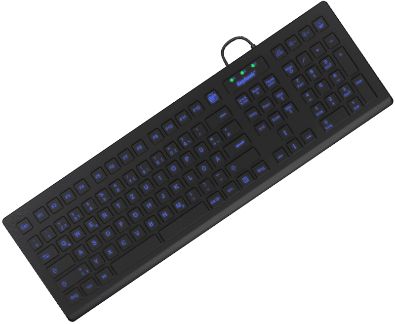 KeySonic KSK-8031INEL keyboard Industrial USB QWERTZ