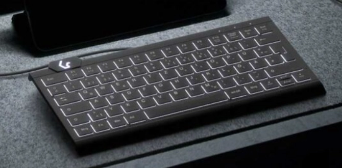 KeySonic KSK-5010ELC (DE) tastatūra Mājas USB QWERTZ Vācu Melns
