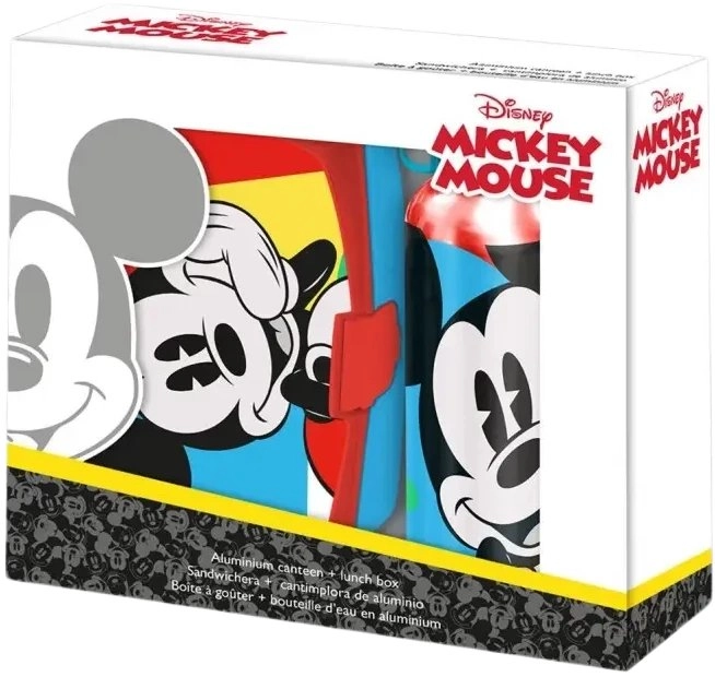Aluminum water bottle + Mickey Mouse