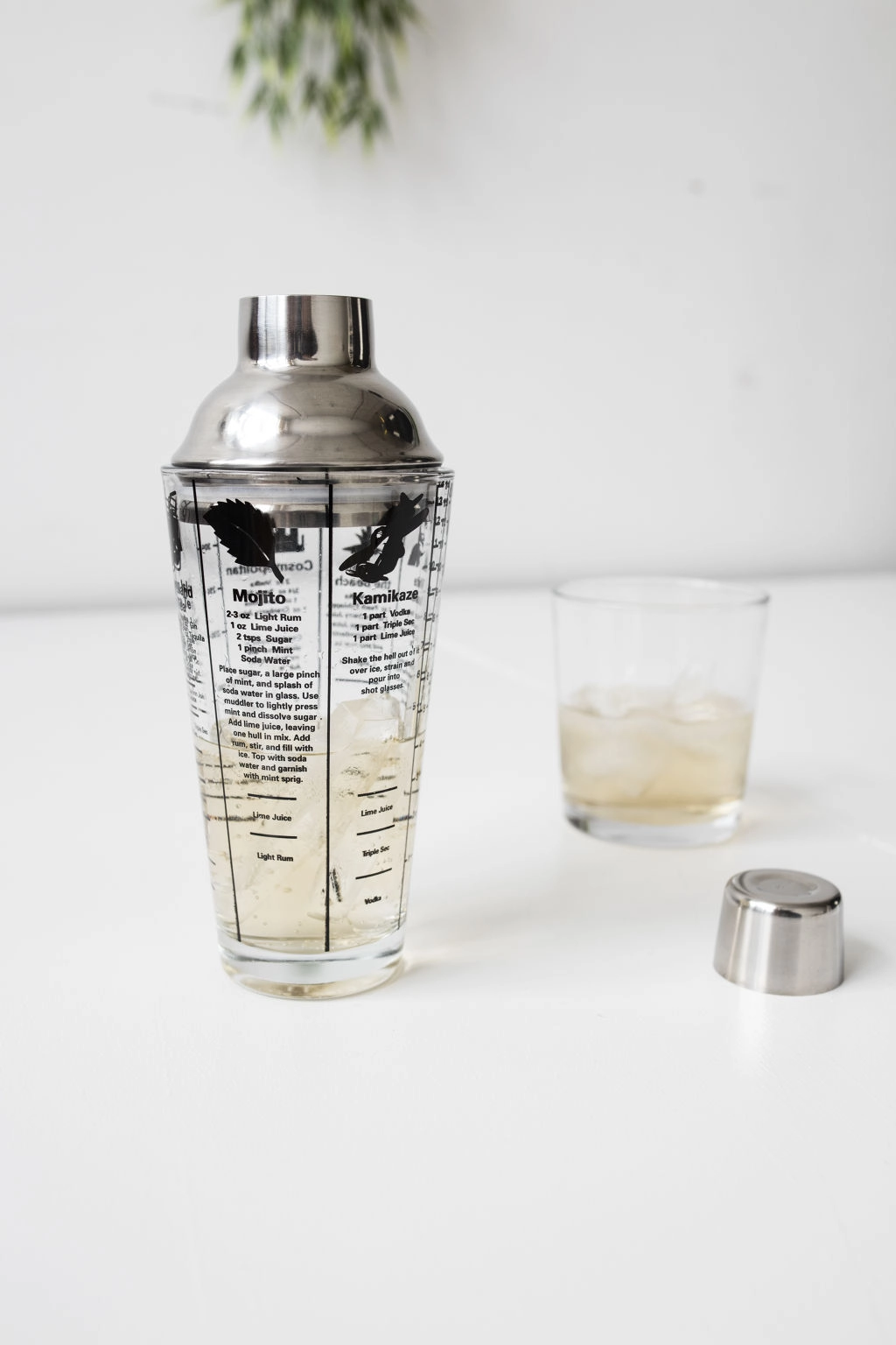 Kikkerland - Mix Master Cocktail Shaker