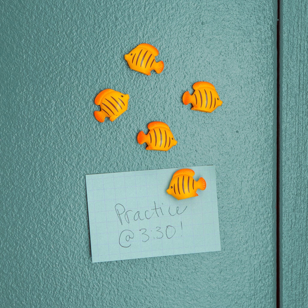 Kikkerland - Fish Magnets MG98 0612615130418