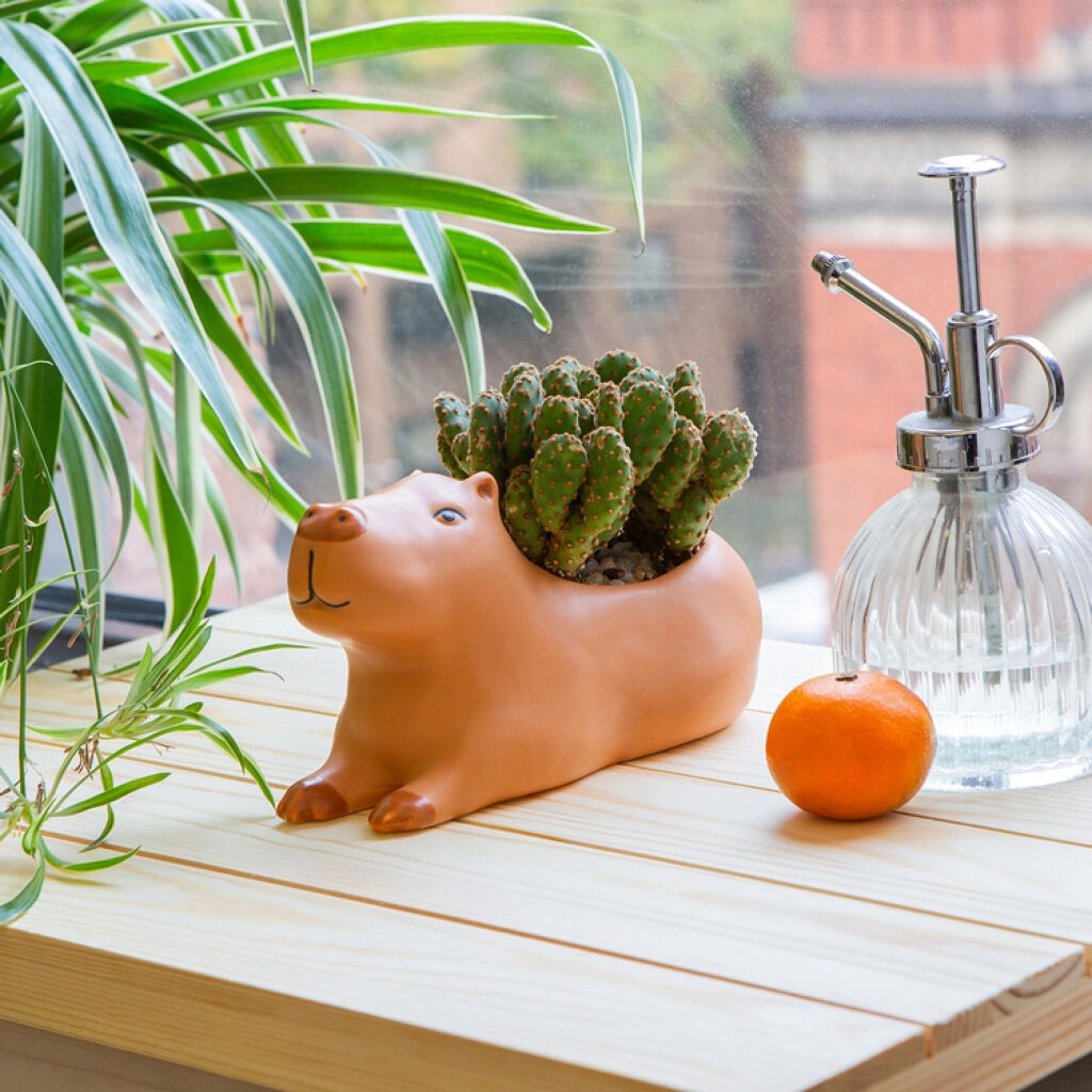 Kikkerland - Cappy the Capybara Planter