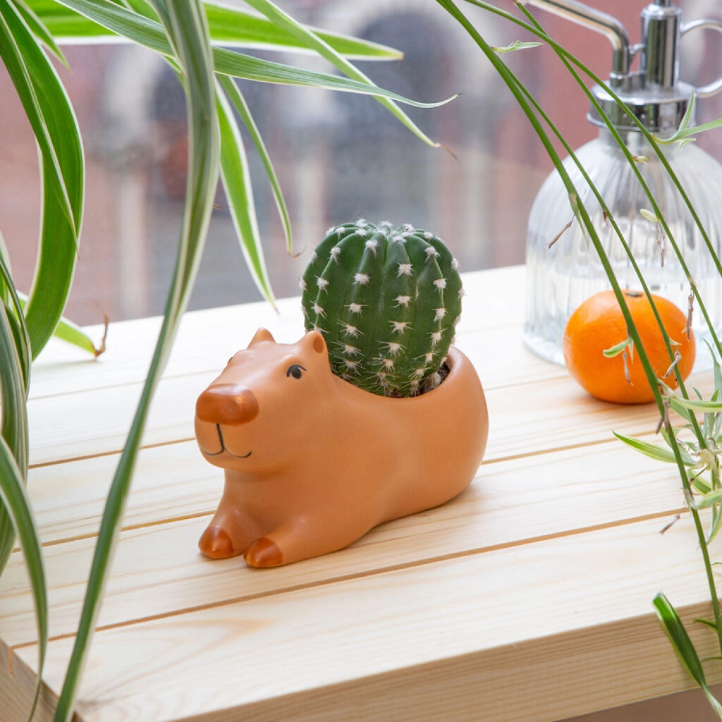 Kikkerland - Cappy the Capybara Planter