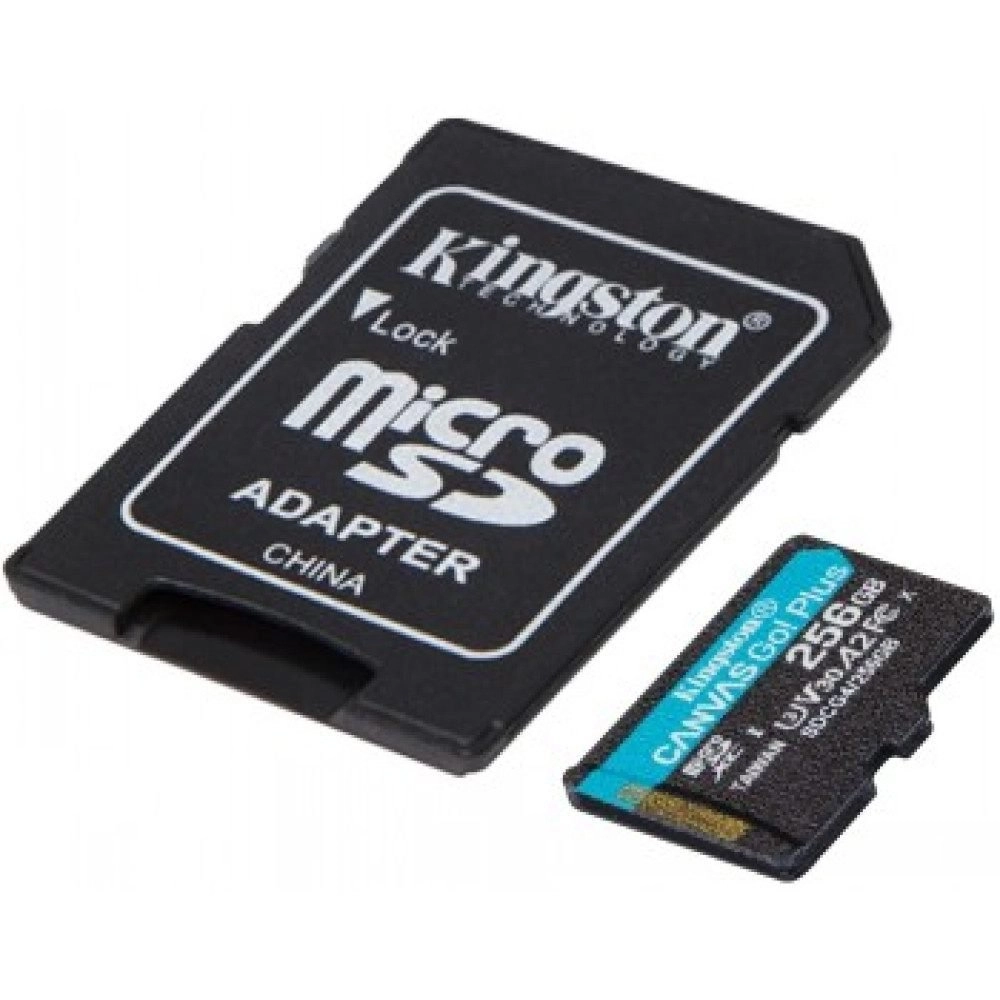 Kingston Technology 256GB microSDXC Canvas Go