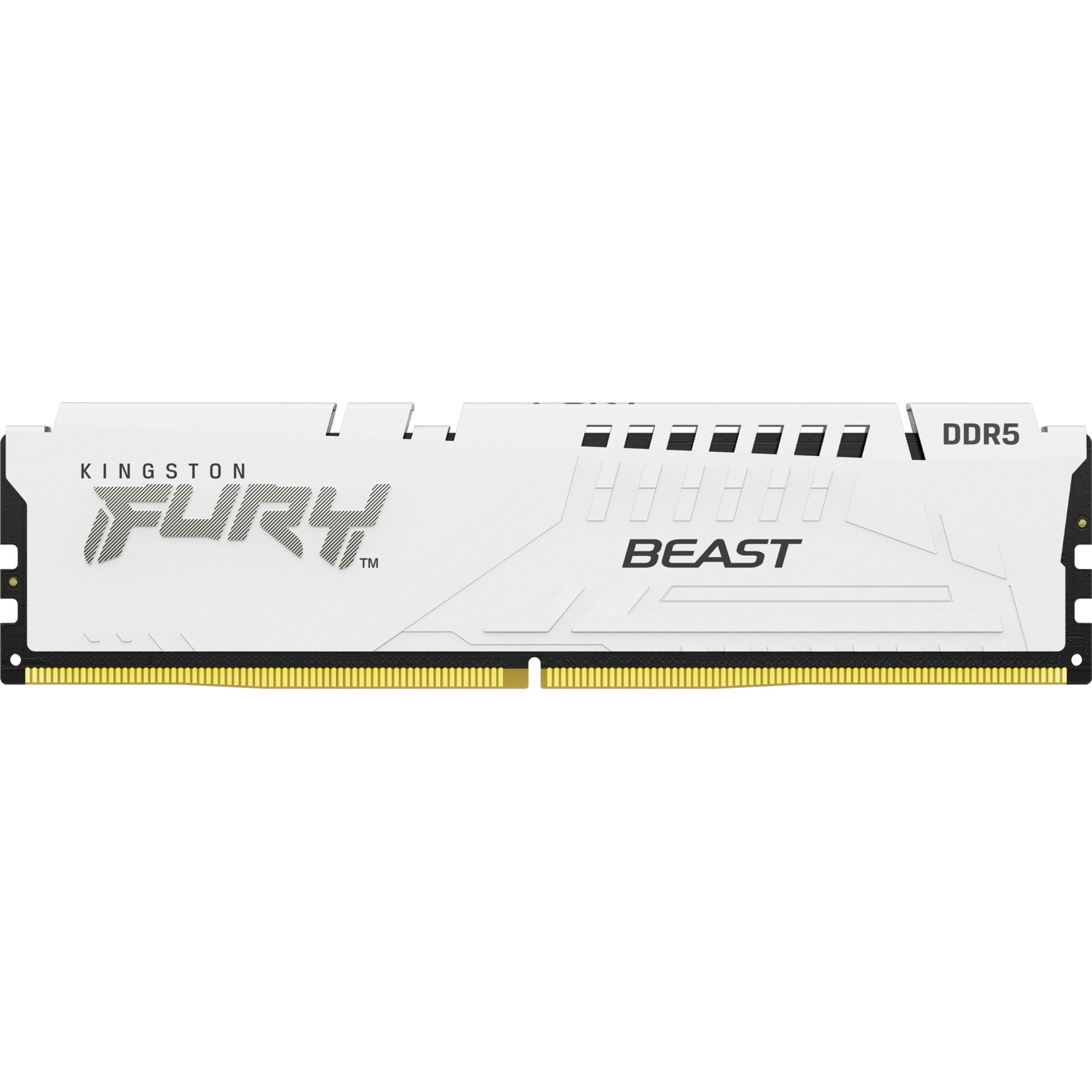 Kingston Technology FURY Beast 32GB 5600MT/s