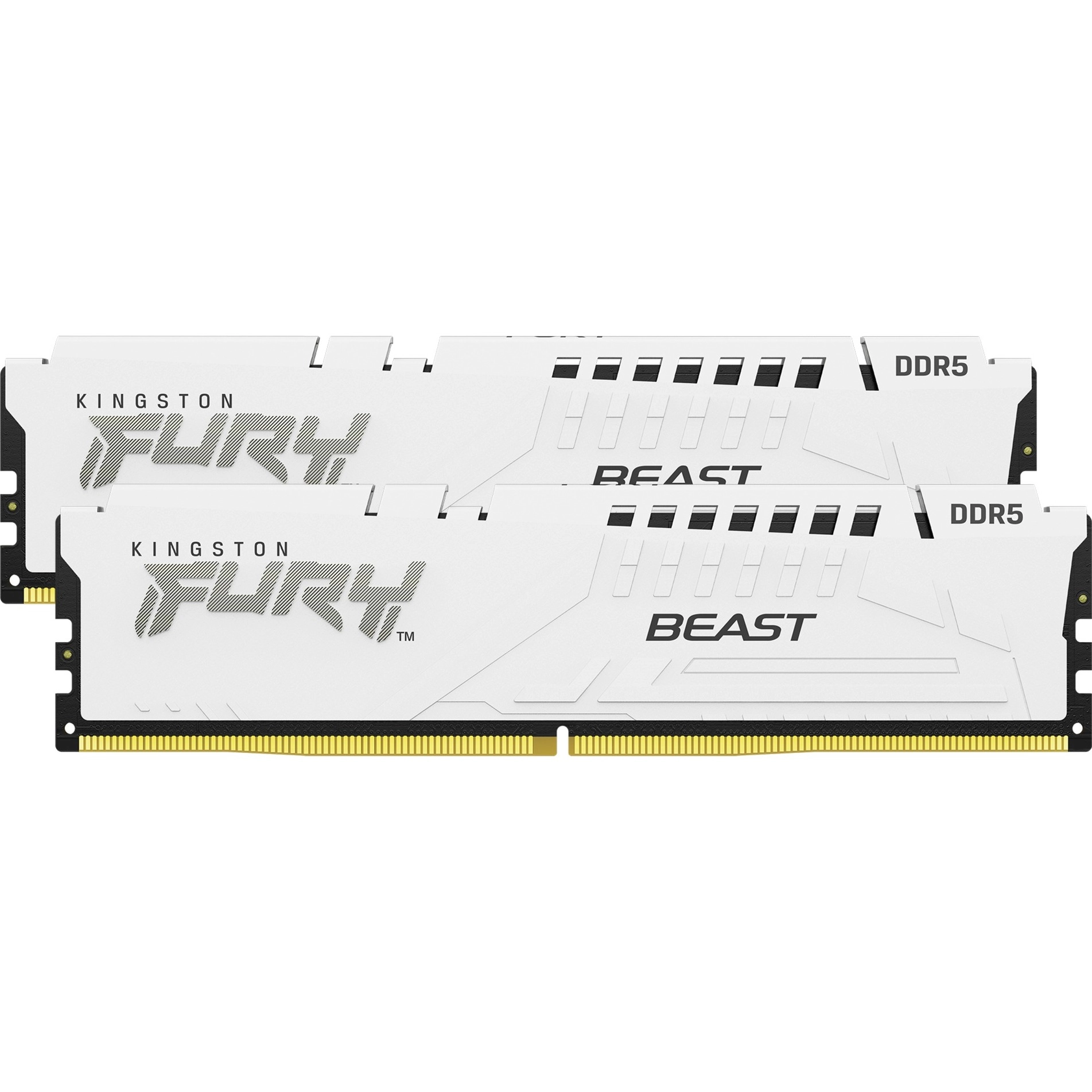 Kingston Technology FURY Beast 32GB 5600MT/s