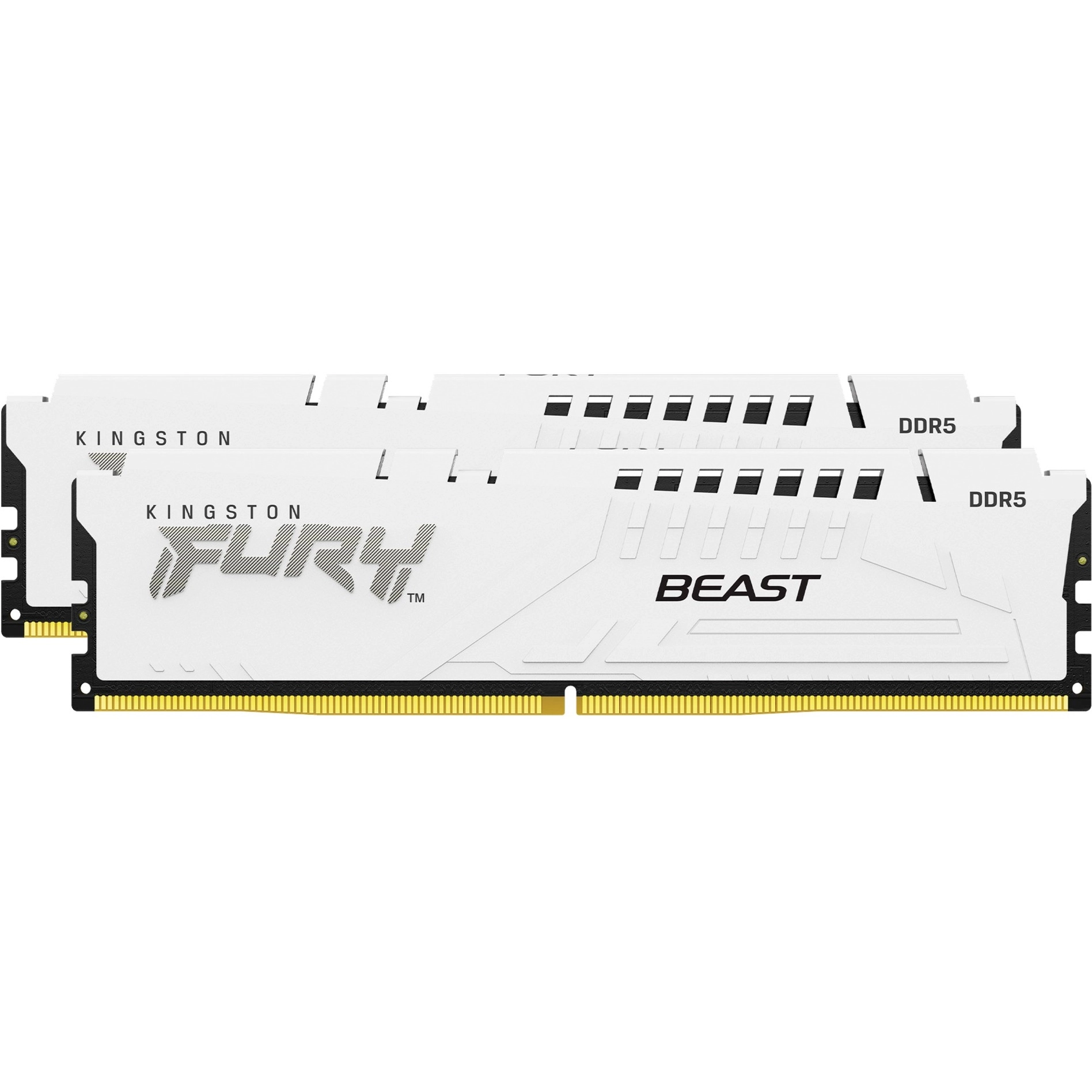 Kingston Technology FURY Beast 64GB 6000MT/s