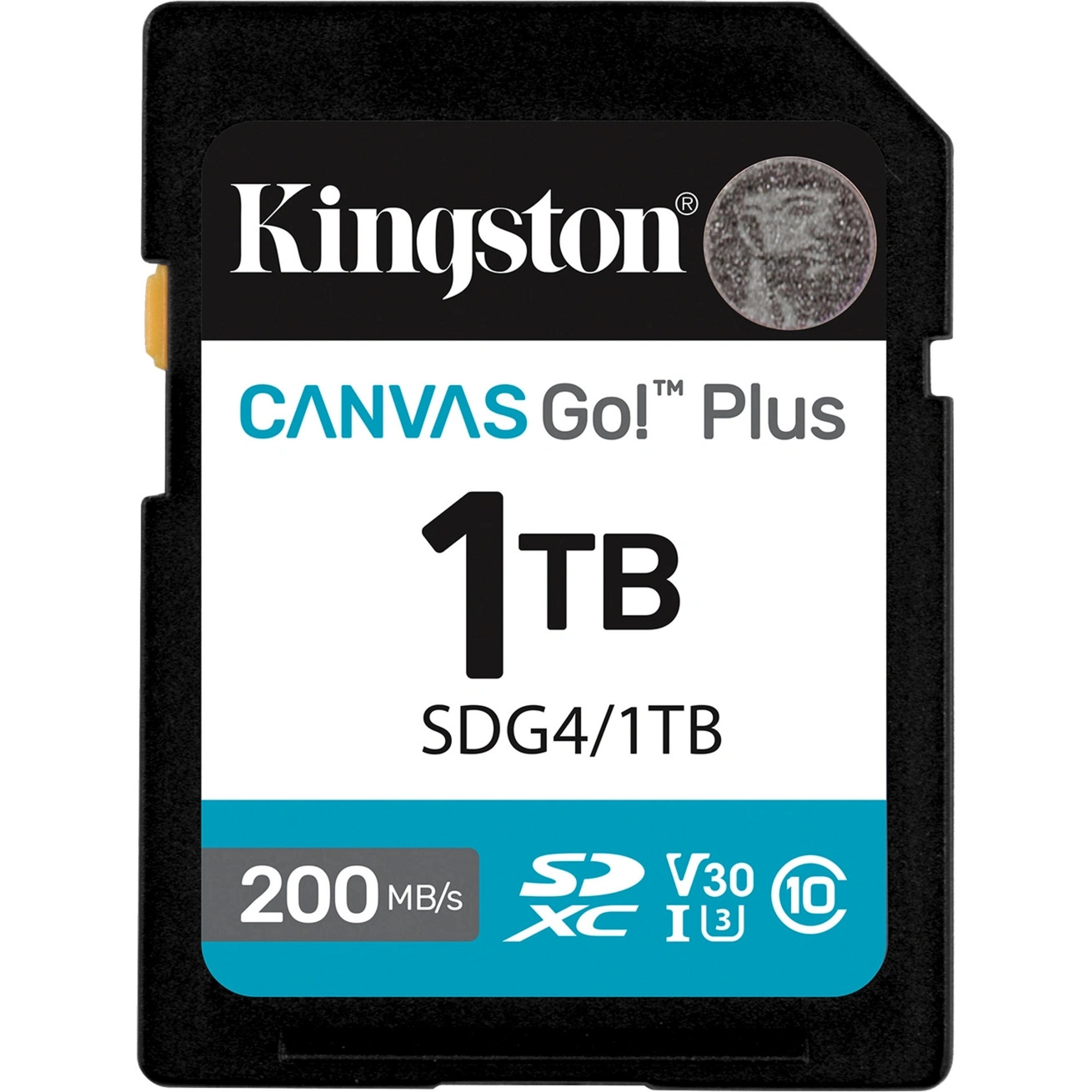 Kingston Technology Canvas Go! Plus 1TB