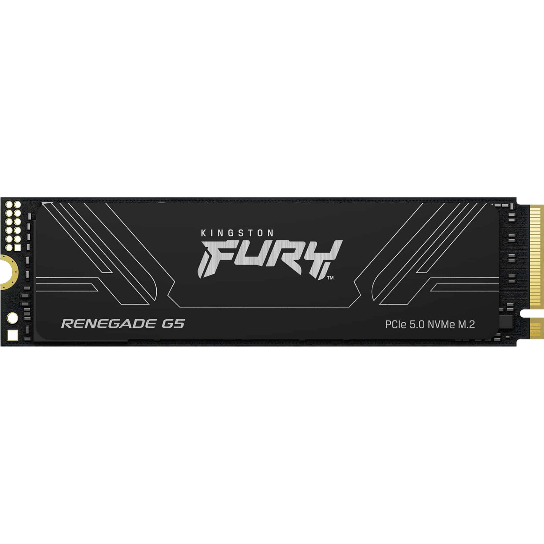 Kingston Technology 4T FURY RENEGADE G5