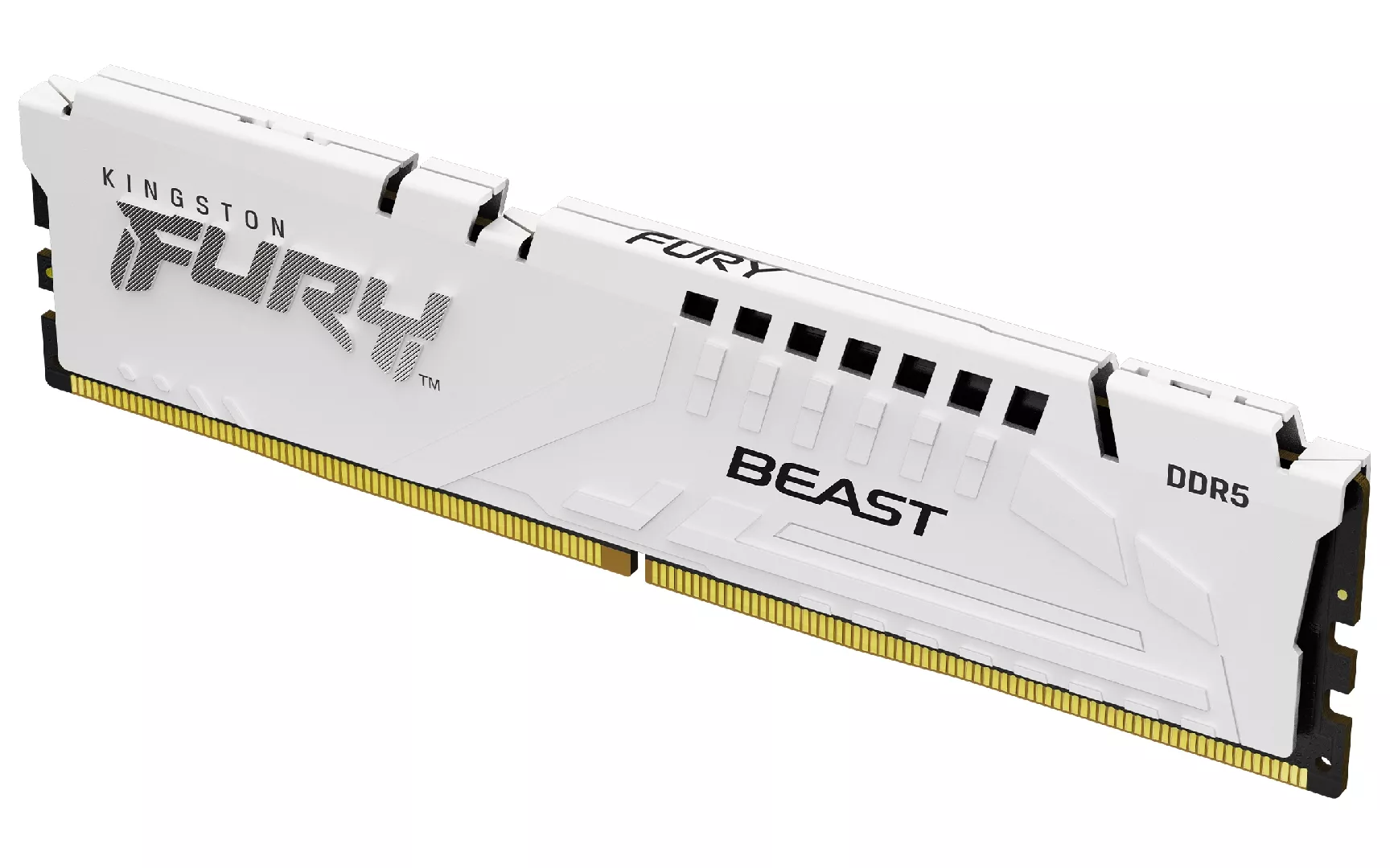 Kingston Technology FURY Beast 32GB 6000MT/s