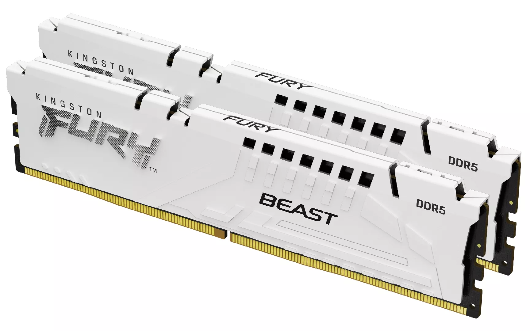 Kingston Technology FURY Beast 32GB 6400MT/s