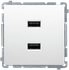Kontakt-Simon Simon Basic Charger 2 x