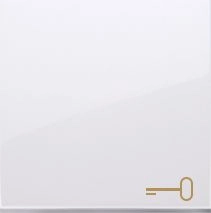 Kontakt-Simon Single key Simon 54 key
