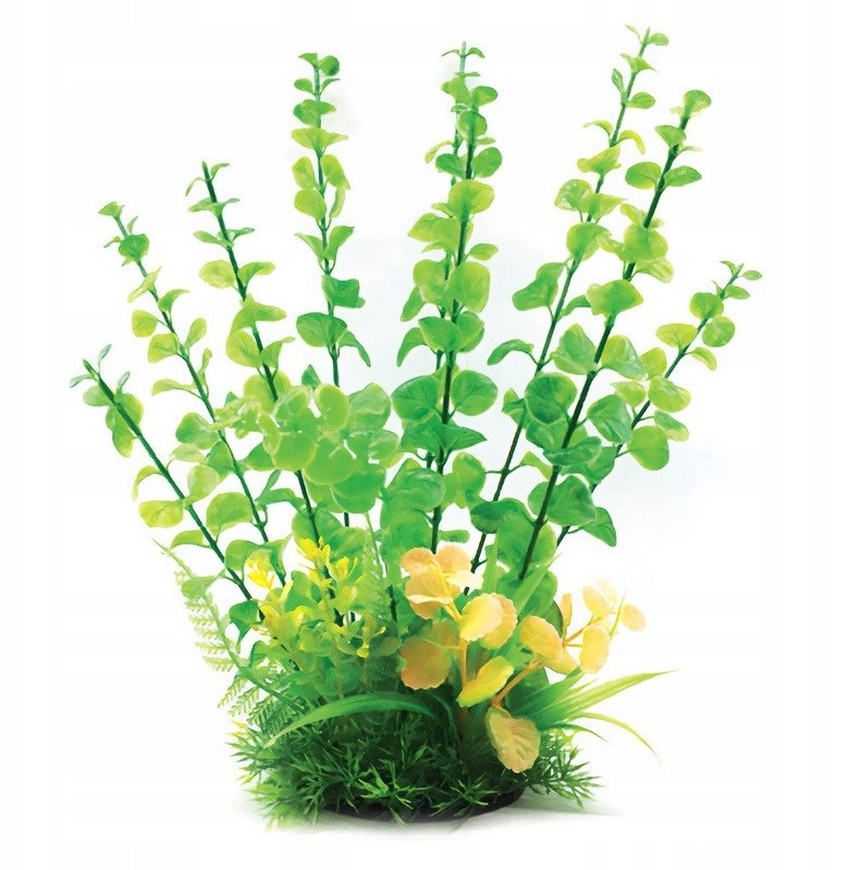 Aqua Natura  plant  for aquarium decoration
