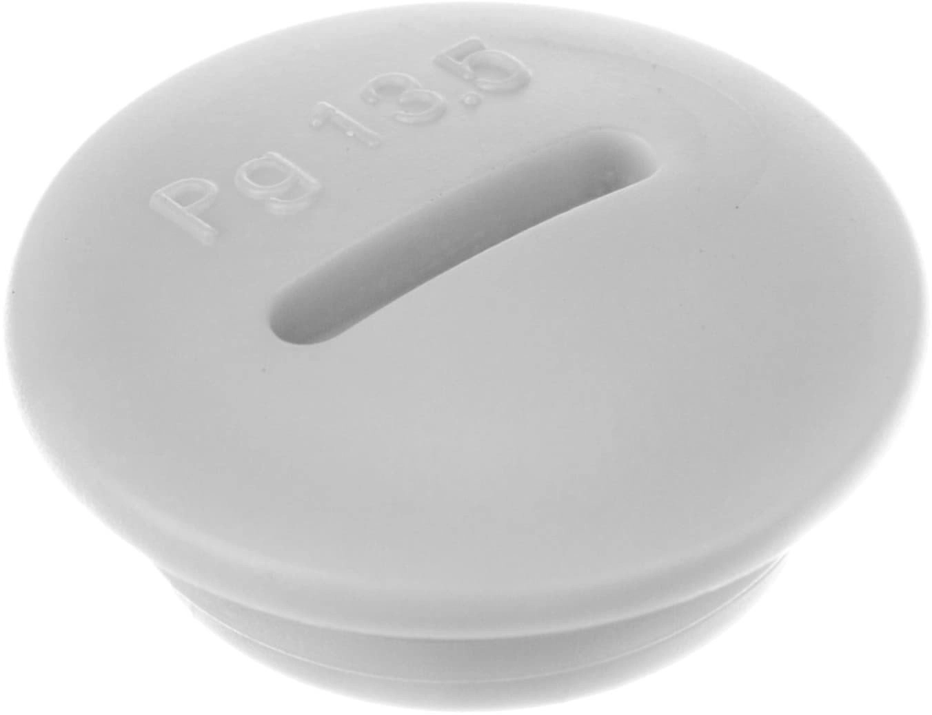 LAPP Polyamide plug PG13.5 SKINDICHT