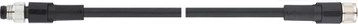 LAPP Connection cable 2m M8 plug-M8