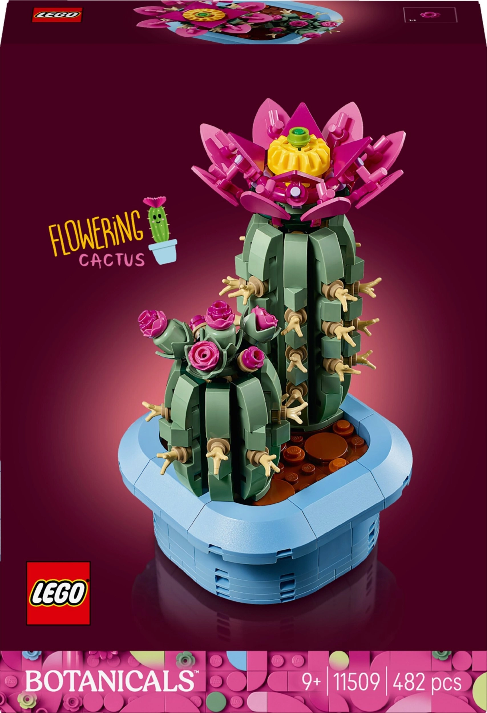 LEGO Botanicals Kwitnący kaktus (11509) 11509