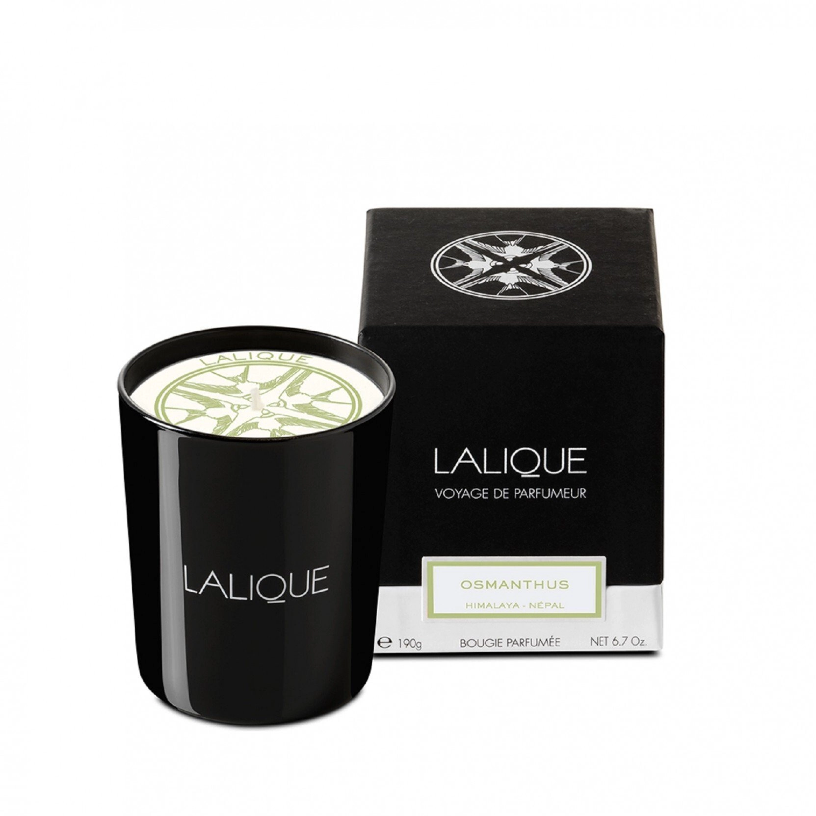 Lalique Lalique  Osmanthus Himalaya Nepal  Osmanthus