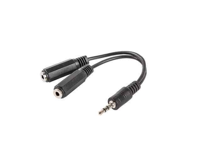 Lanberg AD-0024-BK audio cable 0.1