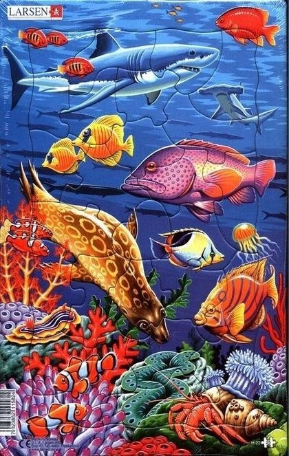 Midi Coral Reef Puzzle 7023852115824 LA-H23