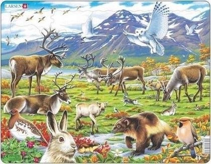Larsen Puzzle Arctic inland Maxi 7023852116104