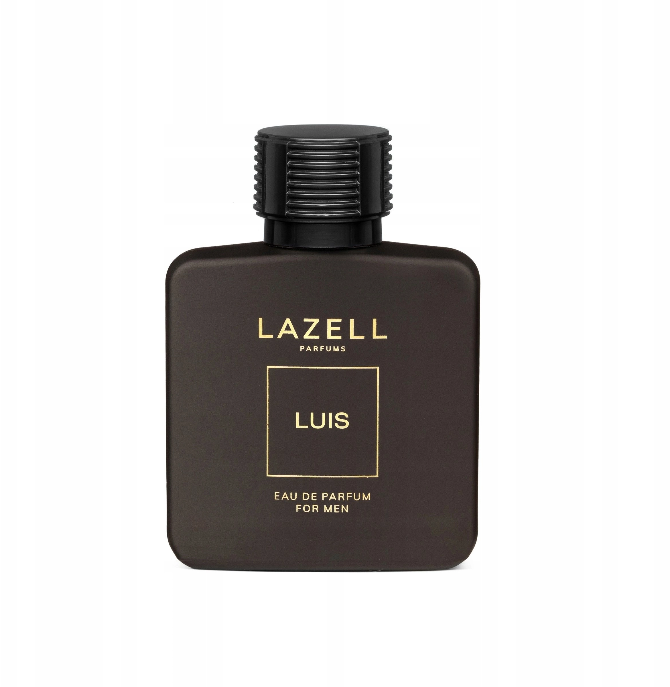 Lazell Luis Men 100 ml edp
