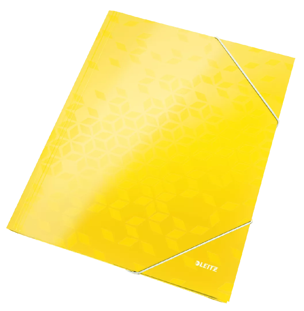 Leitz 39820016 folder Carton  Polypropylene (PP)