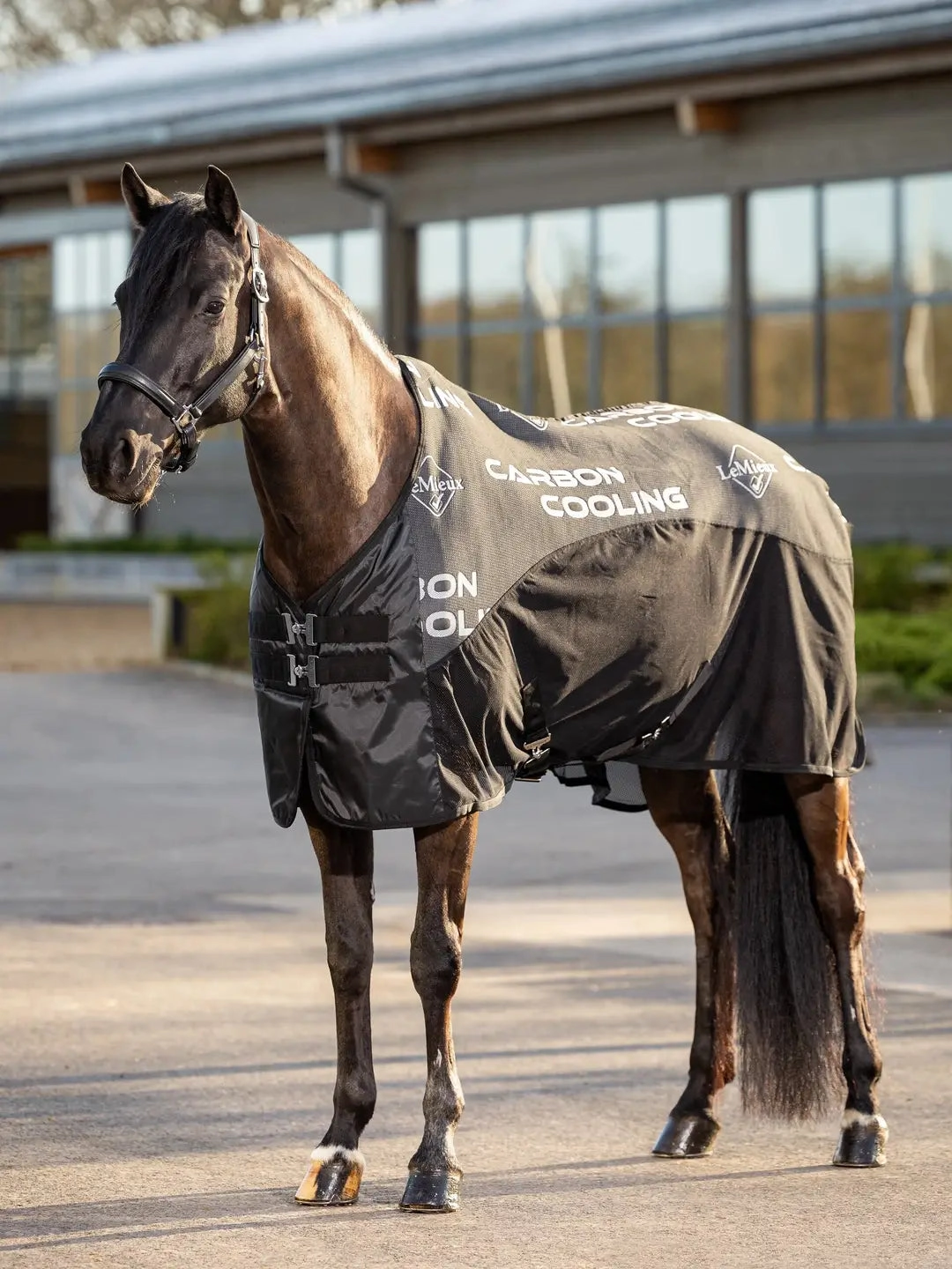 Lemieux - Carbon Cooler Rug -