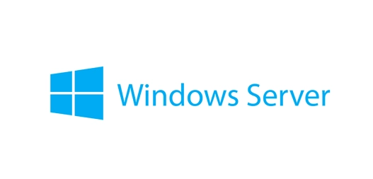 Lenovo Windows Server 2019 Client Access