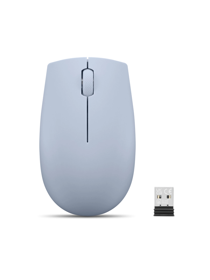 Lenovo 300 mouse Office Ambidextrous RF