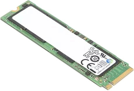 256GB M.2 242 PCIe NVMe