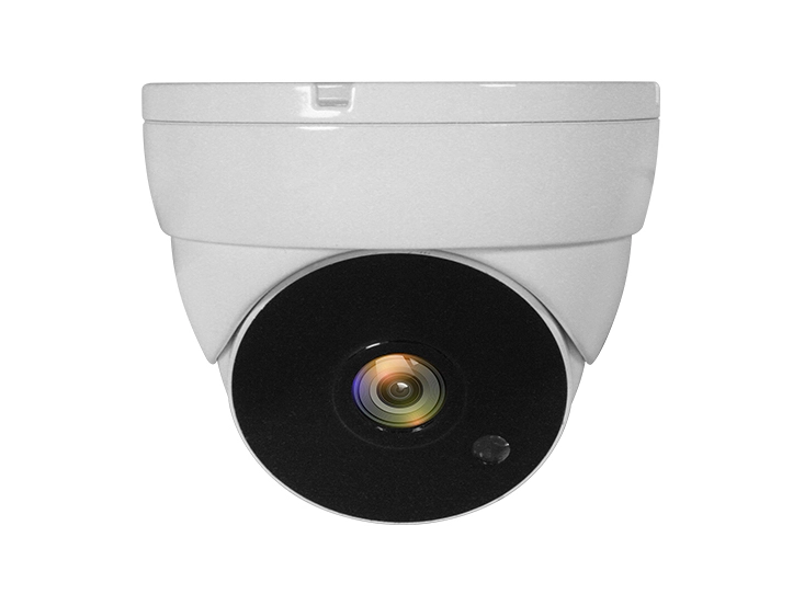 LevelOne 4-in-1 Fixed Dome CCTV Analog