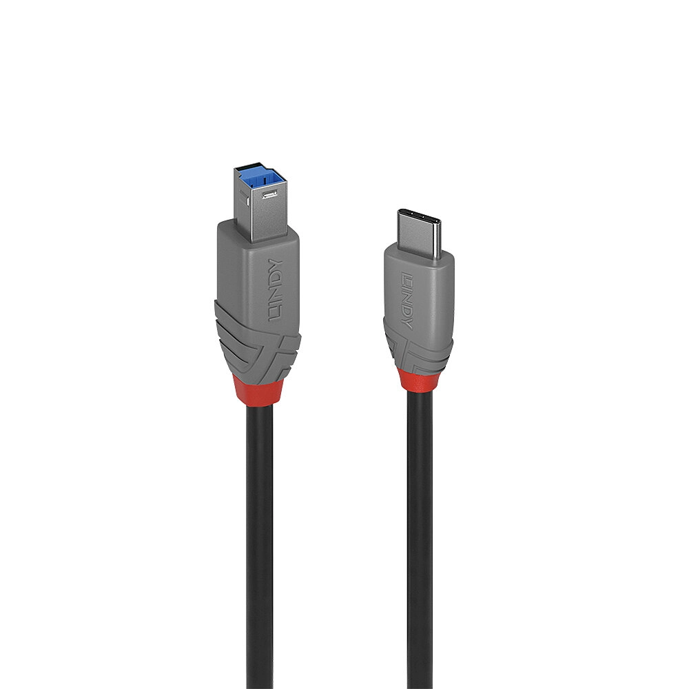 Lindy 0.5m USB 3.2