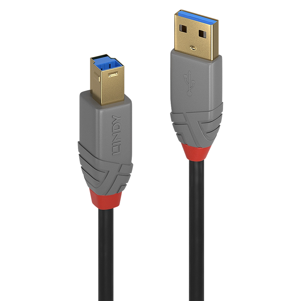 Lindy 1m USB 3.2 Type