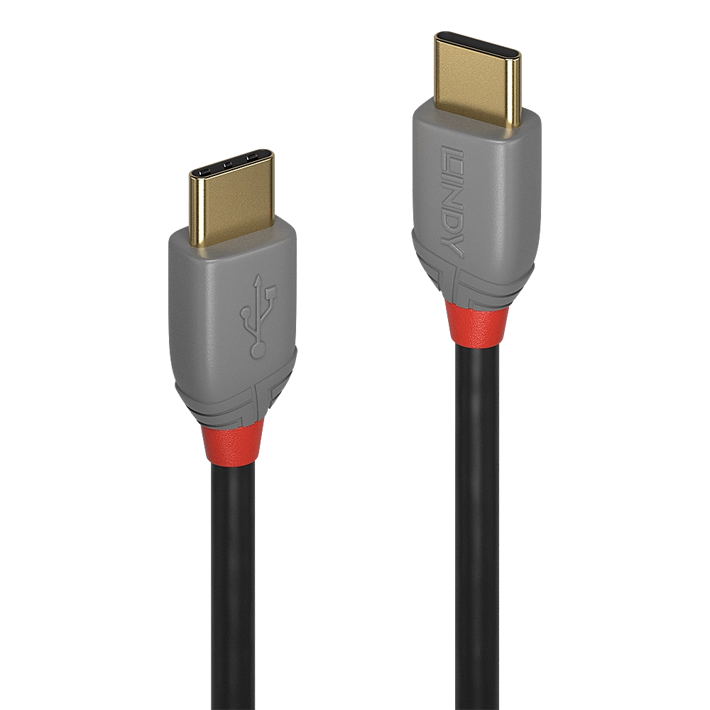 Lindy 1m USB 2.0 Type