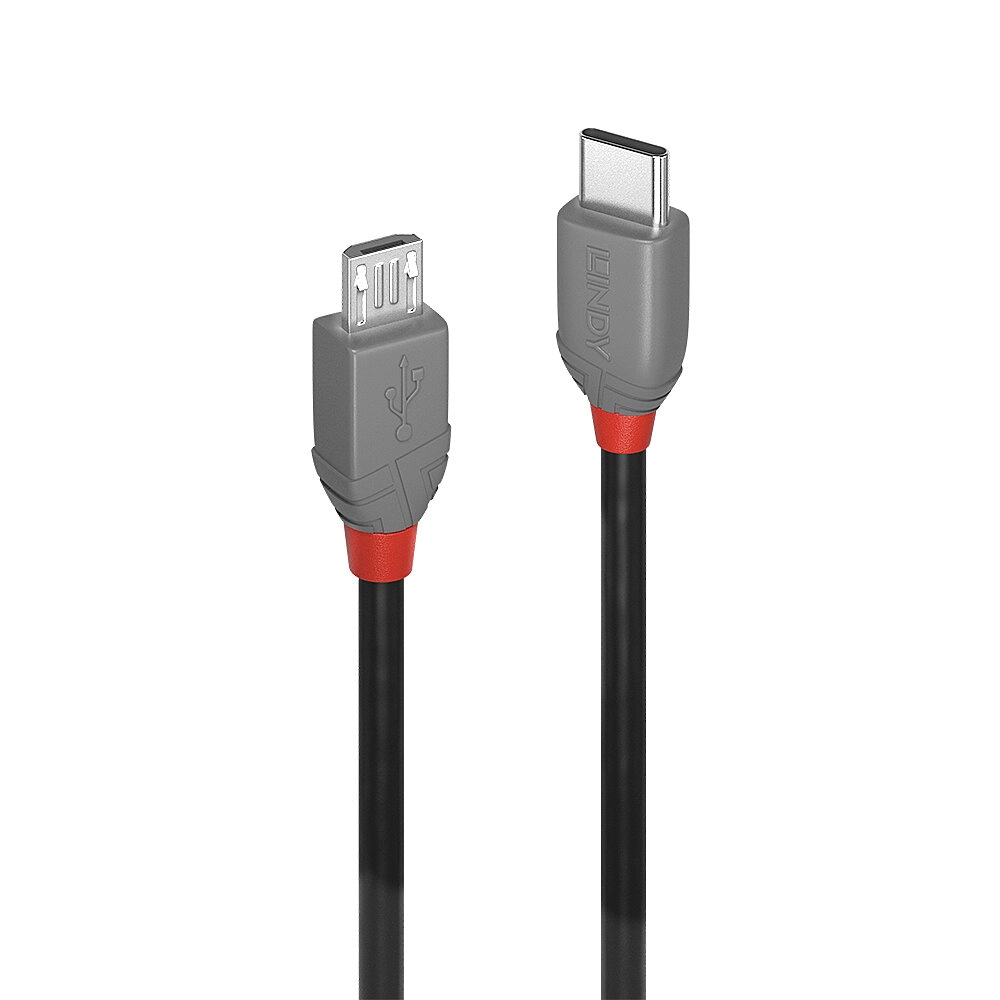 Lindy 1m USB 2.0 Type