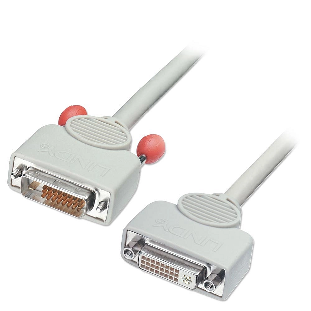 Lindy DVI-D/DVI-D 0.5m DVI cable