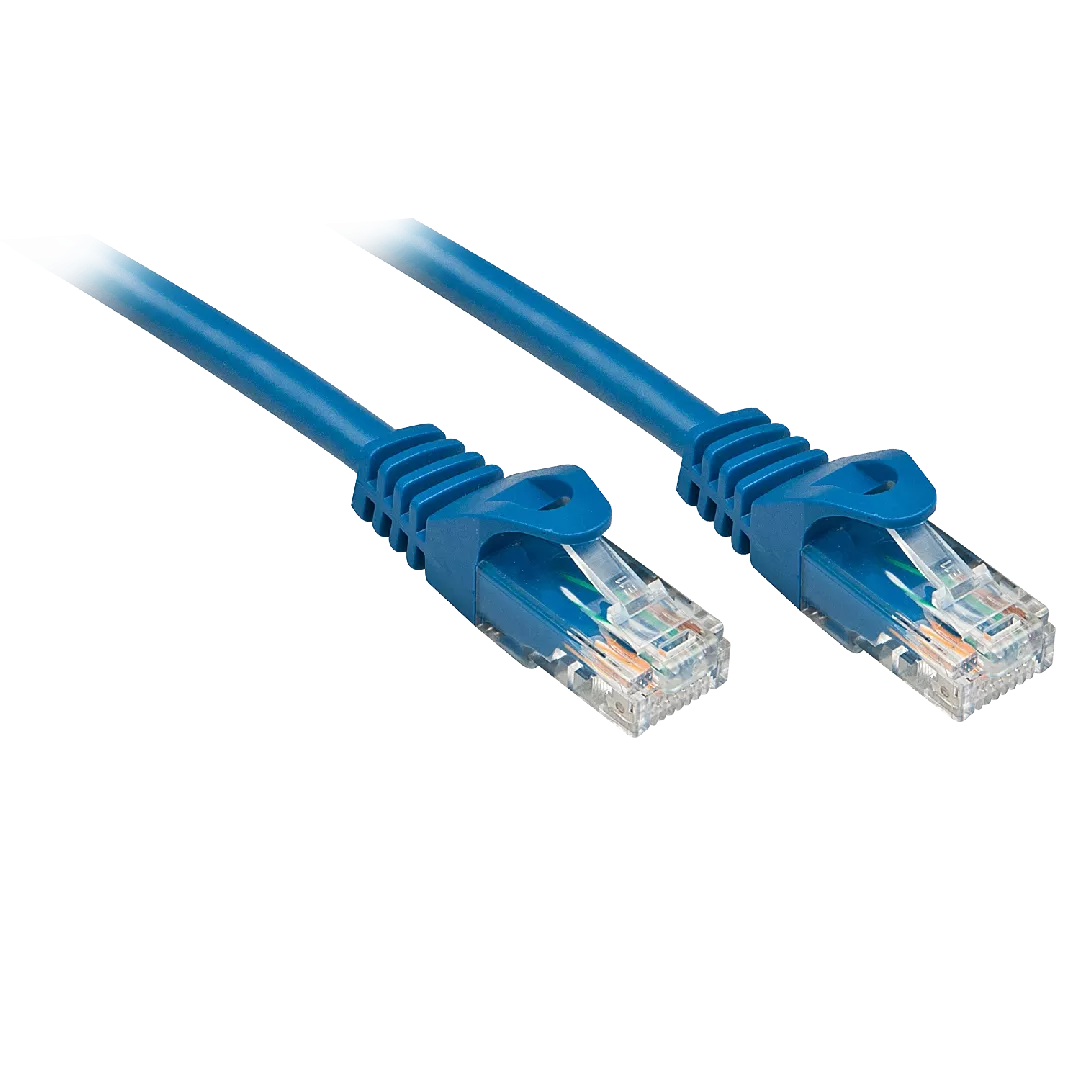 Lindy RJ-45/RJ-45 Cat6 0.3m networking
