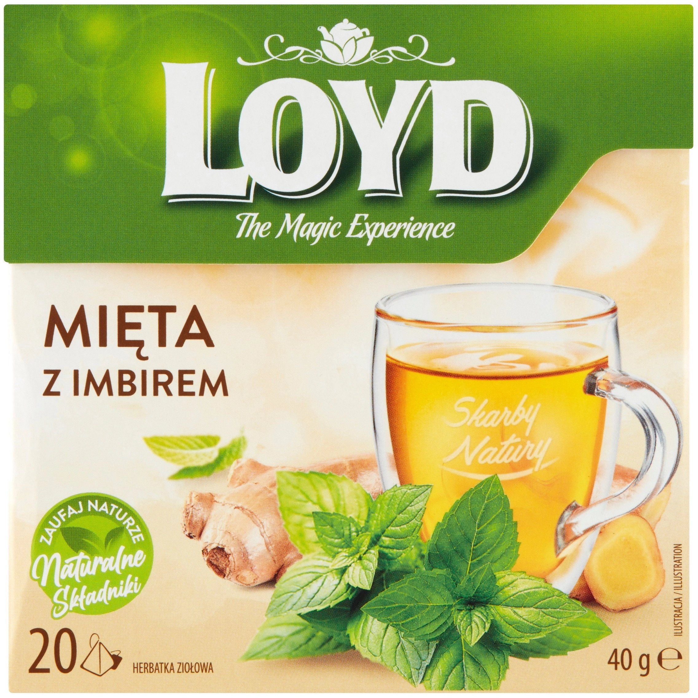 LOYD Herbatka LOYD Mięta z imbirem