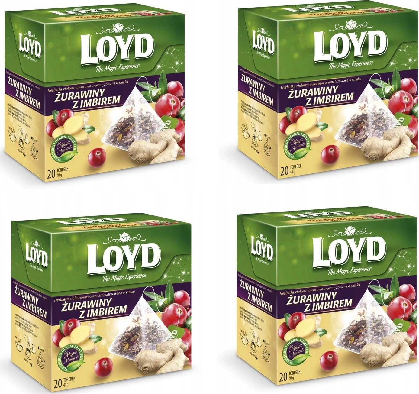 Loyd Herbata Żurawina z imbirem 80