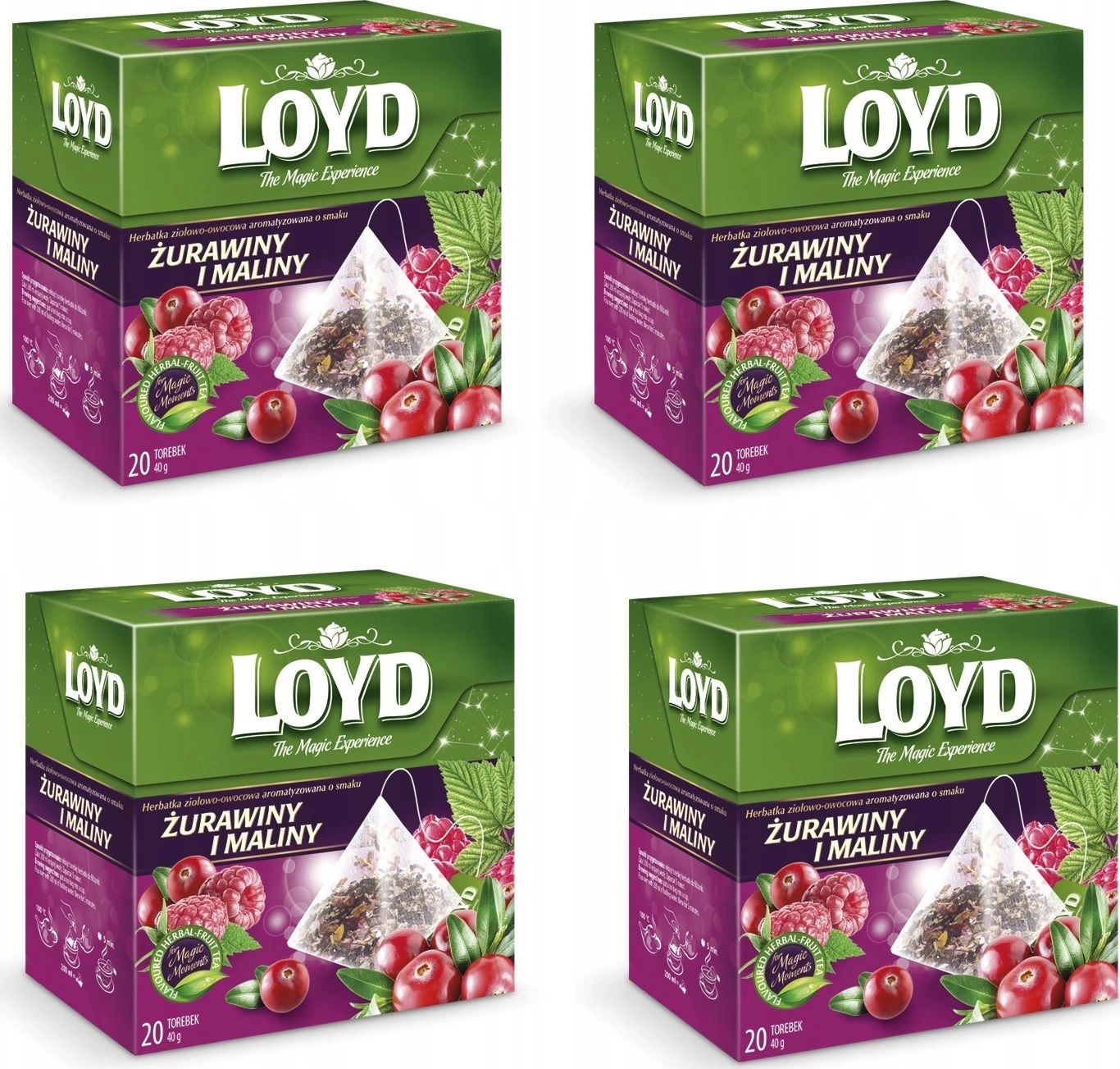 Loyd Herbata Żurawina z maliną 80