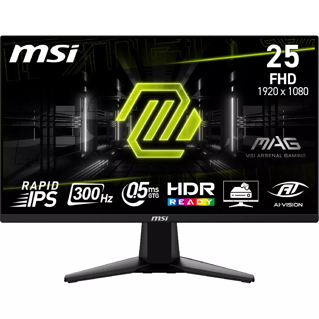 MSI MAG 255XF computer monitor 62
