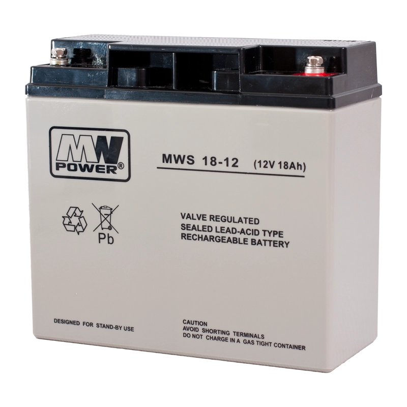 MW Power MWS 18-12 UPS battery