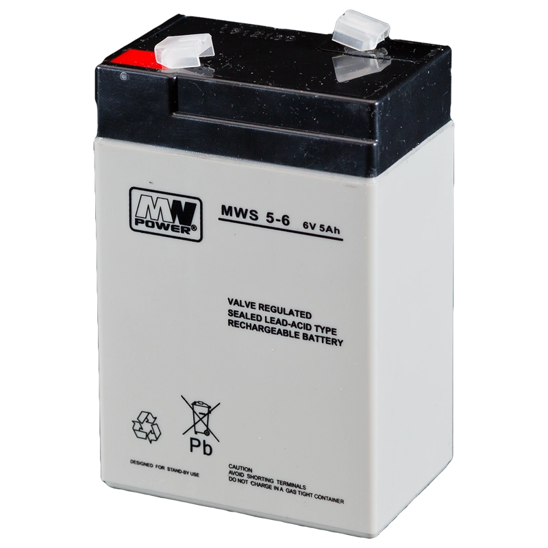 MW Power MWS 5-6 UPS battery